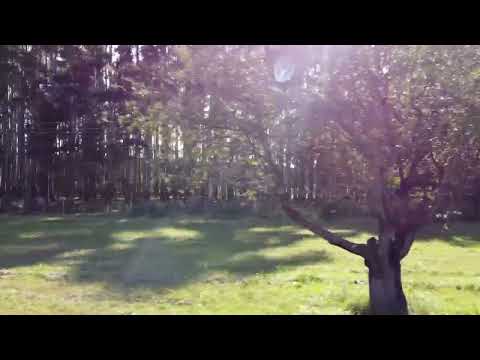 VENDE PINTORESCA CHACRA ARBOLADA DE 7,6 HAS FRENTE A RUTA 9, A 20 MINUTOS DE PUNTA DEL ESTE.