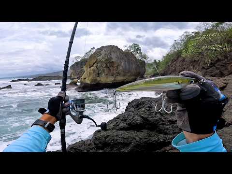 FISHING Off The Cliffs - 9 days PANAMA SURF FISHING QUEST | Episode 2