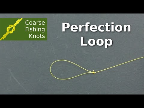 Perfection loop - How to tie
