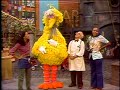 1589 Granny Bird S Surprise Visit