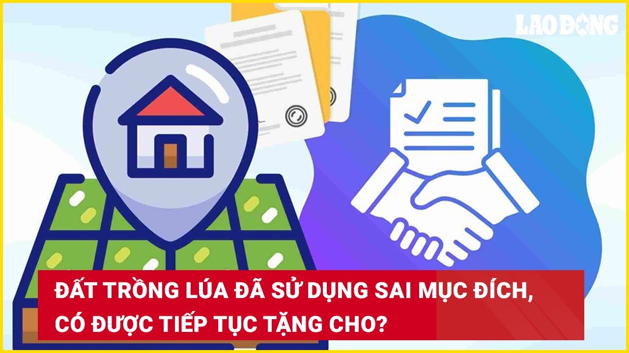 Đất trồng lúa đã sử dụng sai mục đích, có được tiếp tục tặng cho?