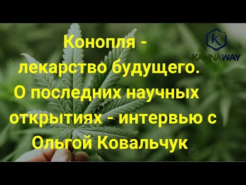 КОНОПЛЯ - ЛЕКАРСТВО БУДУЩЕГО. О ПОСЛЕДНИХ НАУЧНЫХ ОТКРЫТИЯХ. Интервью с Ольгой Ковальчук.