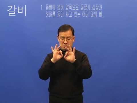 「갈비」의 한국수어 표현