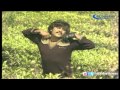 Ullaththil HD Song