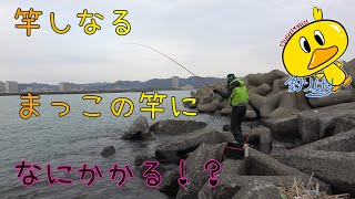 さて！今週は何が釣れるのか！？【釣りっぱり】