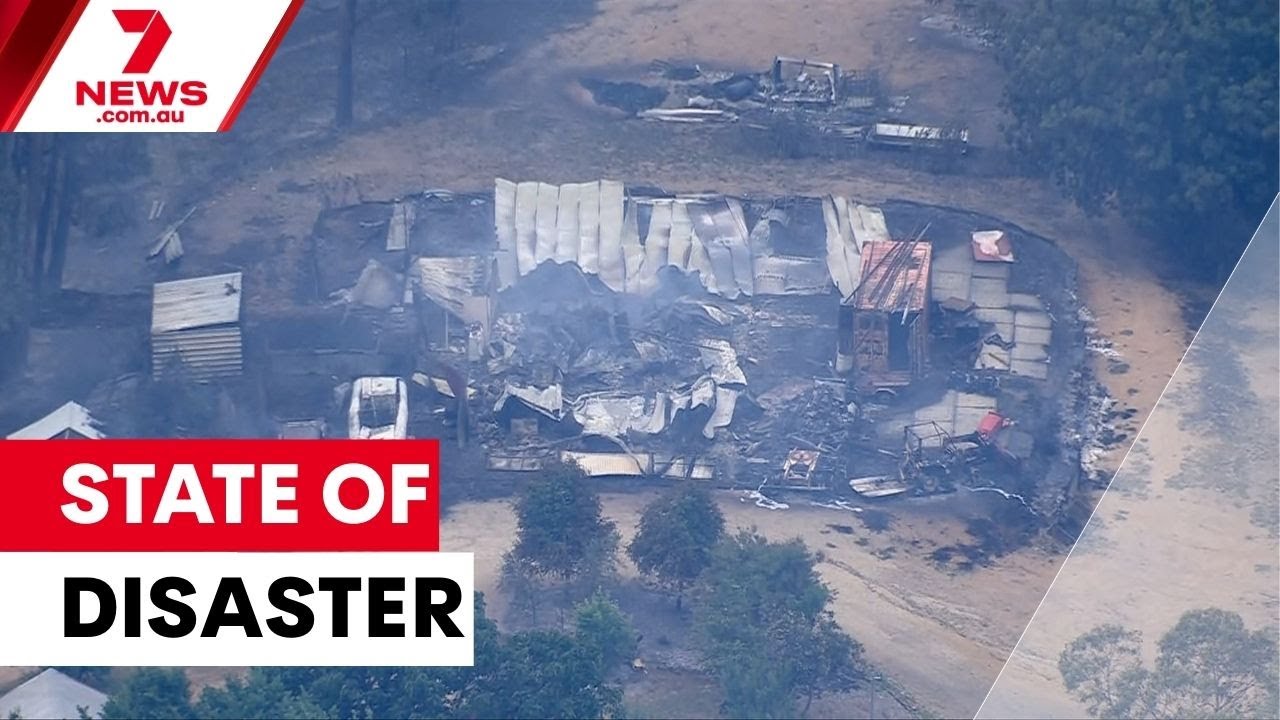 youtube video id=sjGB00CnIaY