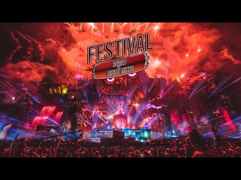 Best MEGAMIX EDM Mashup Festival 2019┃Warm Up Mix & Electro House Music