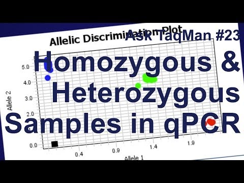 Homozygous vs. Heterozygous Samples in qPCR -- Ask TaqMan #23