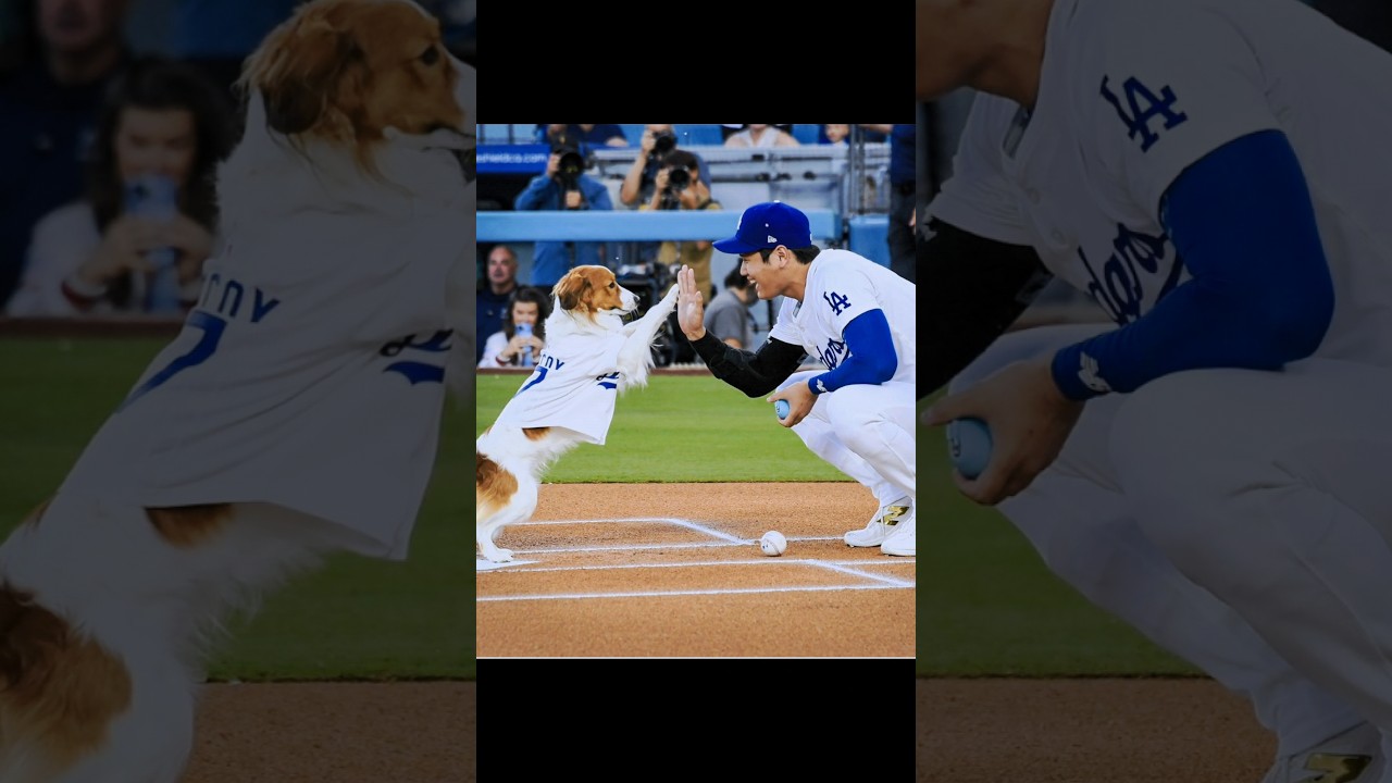 デコ色デイズ #mlb #大谷翔平 #dodgers  #baseball #デコピン