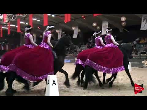 Ecaho European Show 2018 - Dressage