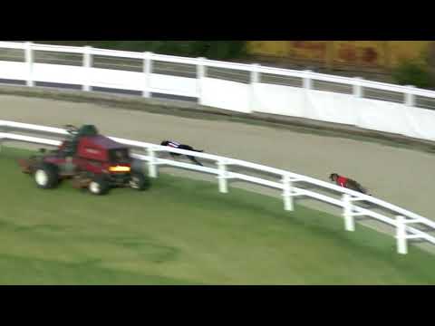 2020.05.29. 05. futam - MAY TROPHY 480M A0