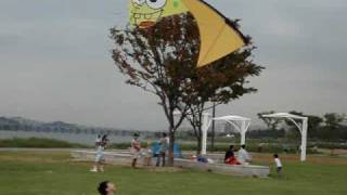 preview picture of video 'korea quadline kite SpongeBob revolution kite#3'