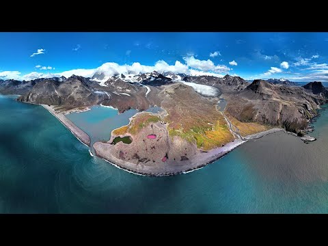 One of the most amazing places in the world ! AMAZING SOUTH GEORGIA: Amazing Planet (4K) 2023