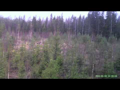 TARVAS Hunting bullet in Action!