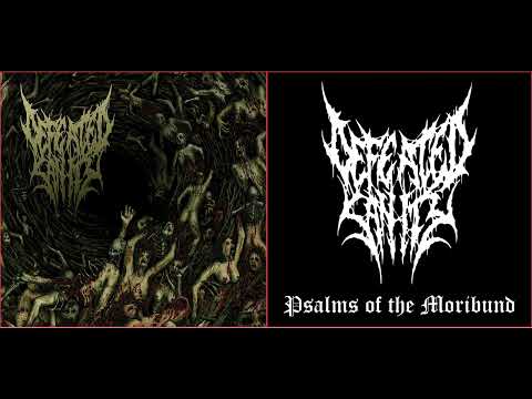 💀 Defeated Sanity - Psalms of the Moribund (2007) [Full Album] 💀