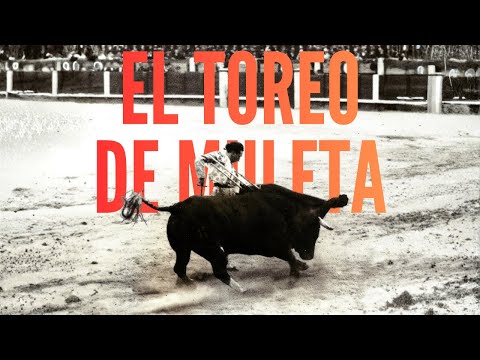 🐂 Evolución del toreo de muleta 🐂 Historia del toreo