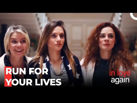 Is Sasquatch Real? - In  Love Again