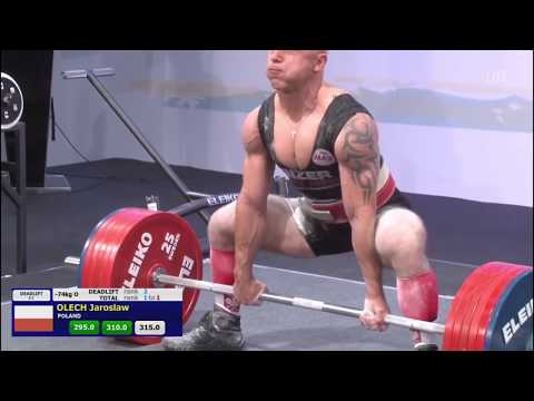 ЧЕМПИОНАТ МИРА IPF 2018 в/к 74 КГ / IPF WORLDS 2018, 74 KG