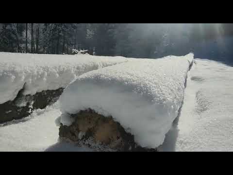 Einsame Gipfeltour im Almtal -- Schwereck (1194m)