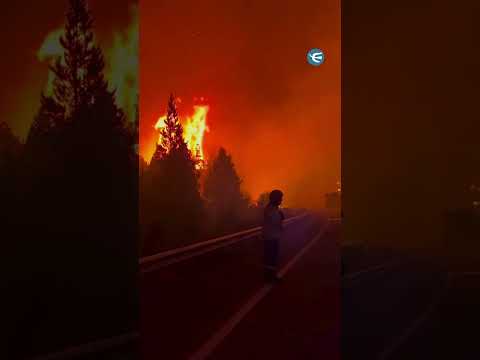 Continúan los incendios en El Hoyo, Chubut: Cortes en la ruta 40 y un pronóstico poco prometedor