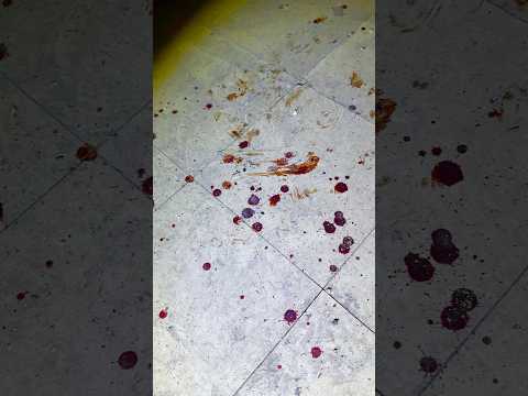 Disturbing Discovery in Abandoned School