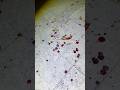 Disturbing Discovery In Abandoned School
