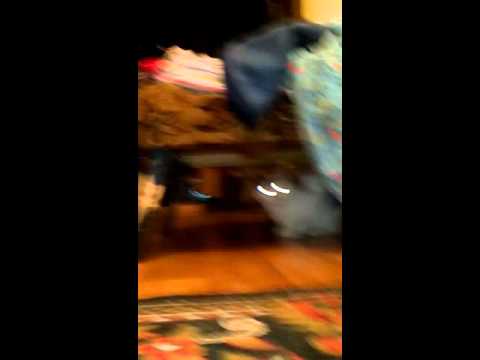 29 марта 2016 г.