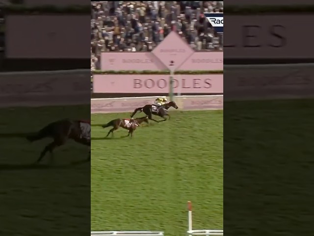 Thumbnail for Post ID: sjLipI-mx40