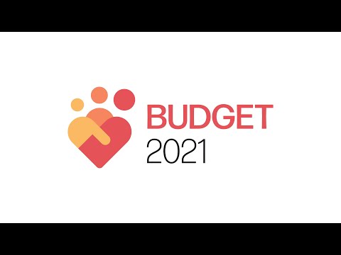 Singapore’s National Budget Process