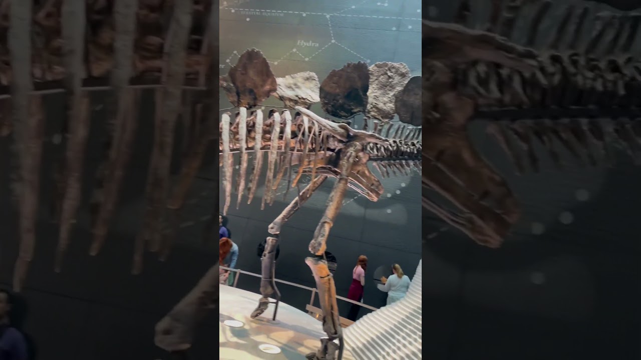 YouTube Short thumbnail