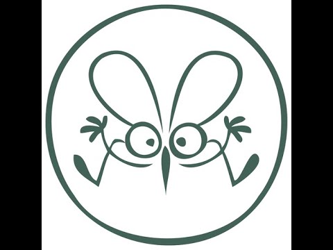 Mosquito Vision