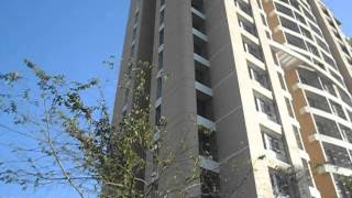 Rutu City Richmond