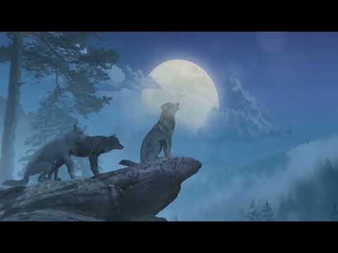 The Top 10 Most Monogamous Animals  in the Animal Kingdom