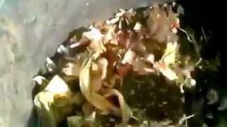 Nandu Popu (Sud Sound System): Lezioni di compostaggio al II° piano