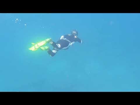 Wereldreis - Ecuador - Galapagos - Isla Isabela