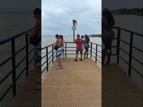 Necocli Antioquía tiene mar y está en Urabá antioquia #necocli #necocliantioquia Paseando con alex