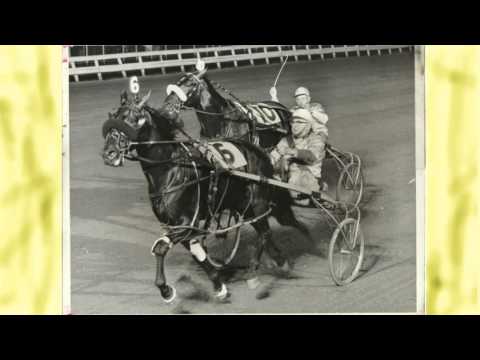 In The Sulky with Bob Marks December 5, 2015