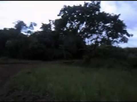 Nossa Cena video