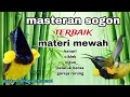 MATERI KEKINIAN 2025 ️MASTERAN SOGON ISIAN SUPER MEWAH
