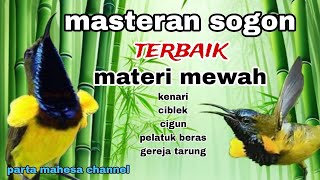 Download lagu MATERI KEKINIAN 2025‼️MASTERAN SOGON ISIAN SUPER MEWAH mp3 Download lagu MATERI KEKINIAN 2025‼️MASTERAN SOGON ISIAN SUPER MEWAH mp3