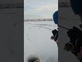 Video Thumbnail for Early Ice Fishing Walleye - Flash Bite