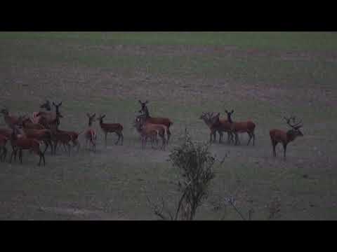 was für ein abend (2)