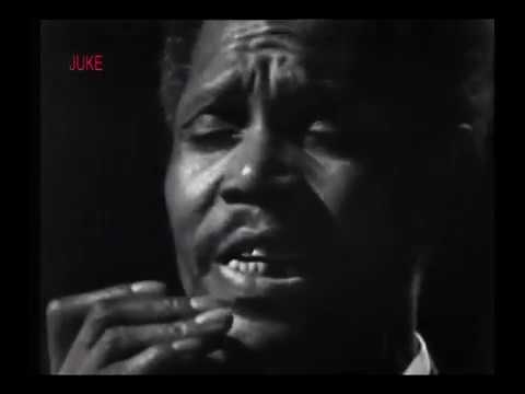 Shakey Horton - All Star Boogie/ That Aint It - 1970 (Live Video)