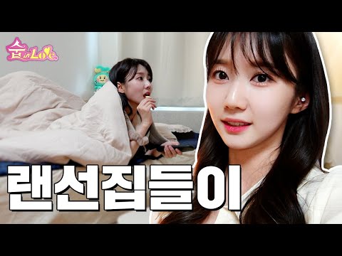 아이콘