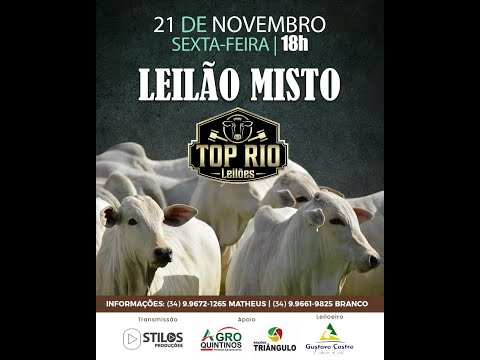 LEILÃO MISTO 21/11/2025 - TOP RIO LEILÕES - RIO PARANAÍBA-MG