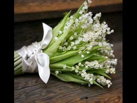 Happy Birthday Carmen