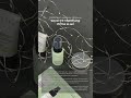 Cover FX Mattifying Prime & set - face makeup set