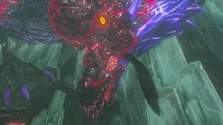 Zelda Breath of the Wild: Naydra Secret Boss Fight