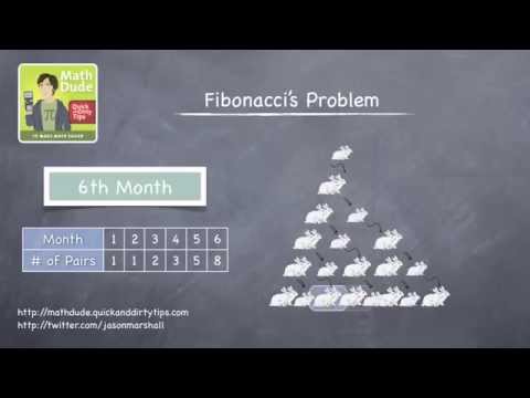 The Fibonacci Sequence and Rabbits with Math Dude, Jason Marshall