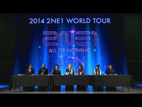 2014 2NE1 WORLD TOUR 'ALL OR NOTHING' PRESS INTERVIEW